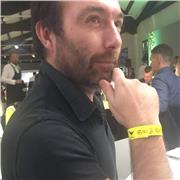 insegnante madrelingua